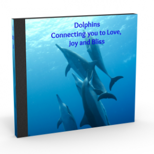 Dolphin Bliss